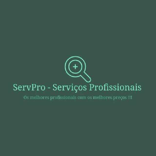 Servpro - serviços profissionais